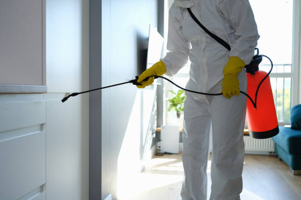 Best Mold Testing and Removal  in Albemarle, NC